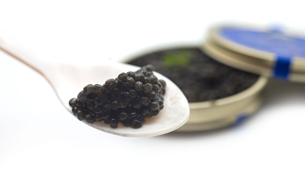 Kaviar am Perlmuttlöffel